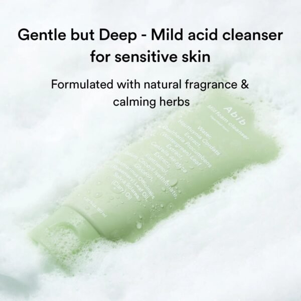 Abib Heartleaf Acne Foam Cleanser